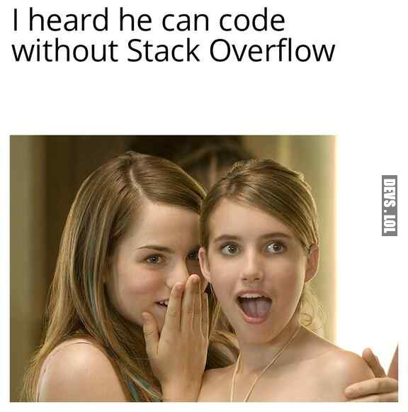Probably they are talking about Stack Overflow's developer
