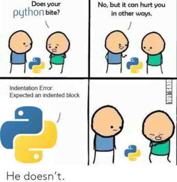 #Python can hurt you in other ways