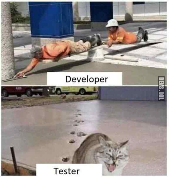 Developer vs. Tester